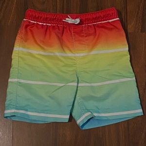 LandsEnd 3t swim trunks